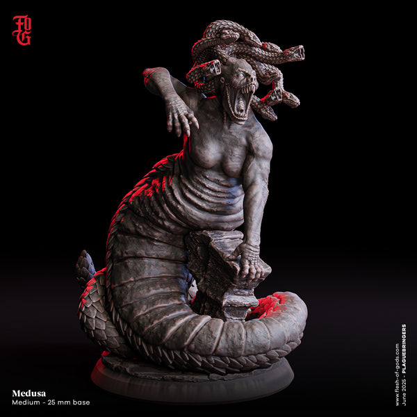 Fog-250607 Enemy - Medusa
