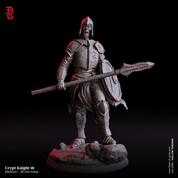 Fog-250705 Enemy - Crypt Knight 1