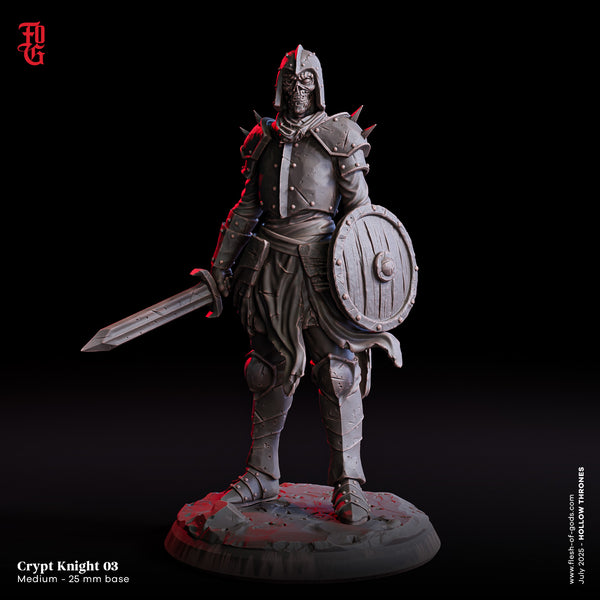 Fog-250707 Enemy - Crypt Knight 3