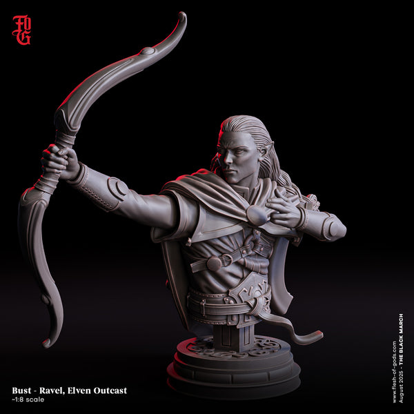 Fog-250802 Bust - Ravel, Elven Outcast