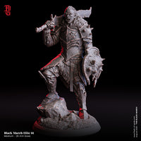 Fog-250806 Enemy - Black March Elite 1