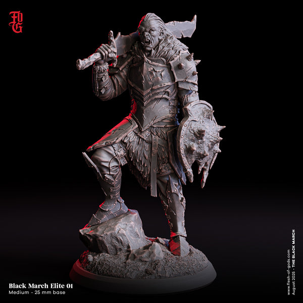 Fog-250806 Enemy - Black March Elite 1