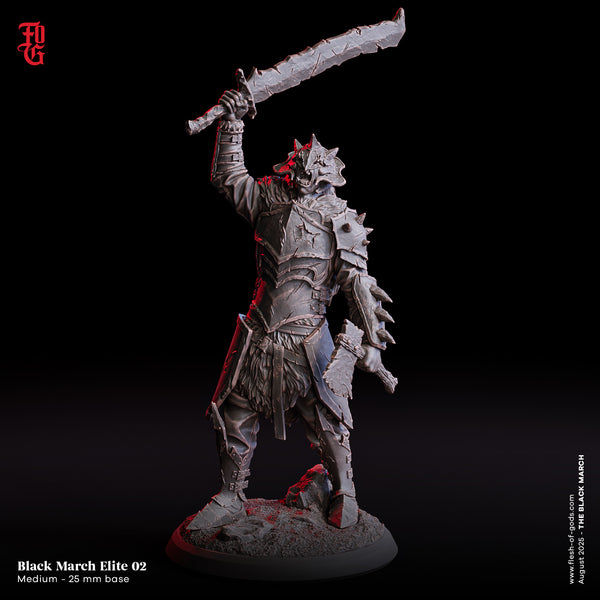 Fog-250807 Enemy - Black March Elite 2