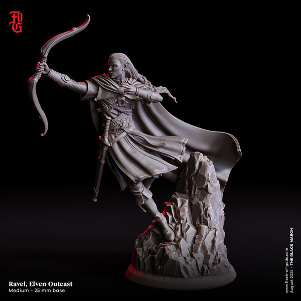Fog-250823 Hero - Ravel, Elven Outcast