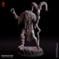Fog-250904 Enemy - Bloodmoon Druid