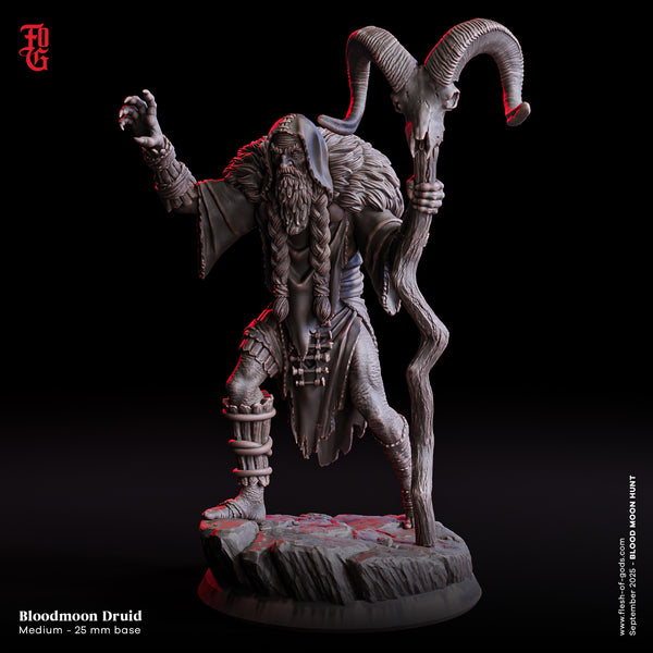 Fog-250904 Enemy - Bloodmoon Druid