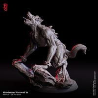 Fog-250905 Enemy - Bloodmoon Werewolf 1
