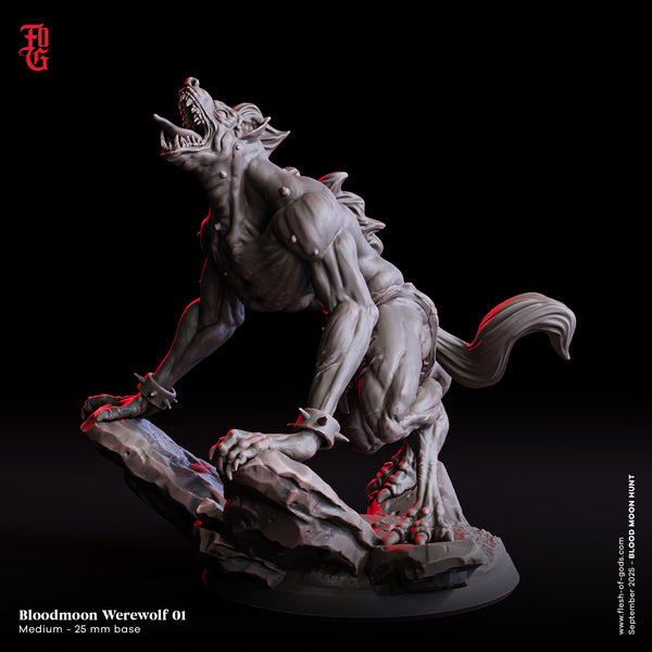 Fog-250905 Enemy - Bloodmoon Werewolf 1