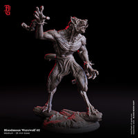 Fog-250906 Enemy - Bloodmoon Werewolf 2