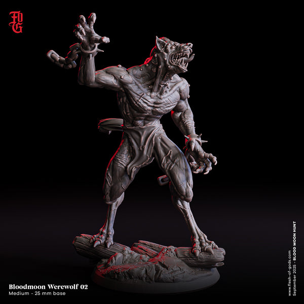 Fog-250906 Enemy - Bloodmoon Werewolf 2