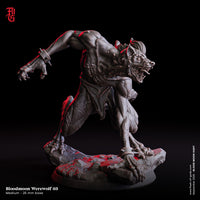Fog-250907 Enemy - Bloodmoon Werewolf 3
