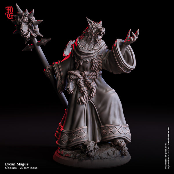 Fog-250912 Enemy - Lycan Magus