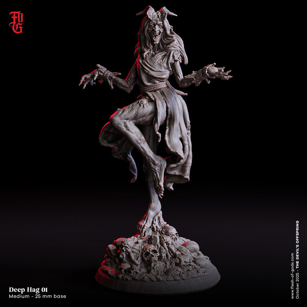 Fog-251005 Enemy - Deep Hag 1