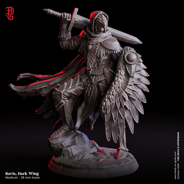 Fog-251020 Hero - Ravis, Dark Wing
