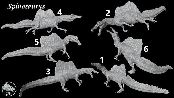 Pseudarmadillo Isopod spinosus. スピノサス 5匹 ダンゴムシ ワラジムシ