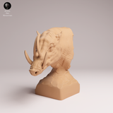 Anml-251207 North Sulawesi Babirusa bust（バビルサ）