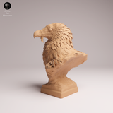 Anml-260602 Bearded Vulture Bust（ハゲワシ）