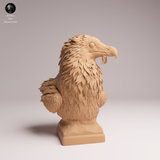 Anml-260602 Bearded Vulture Bust（ハゲワシ）