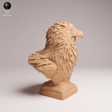 Anml-260602 Bearded Vulture Bust（ハゲワシ）