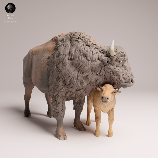 Anml-250903 American bison cow and calf