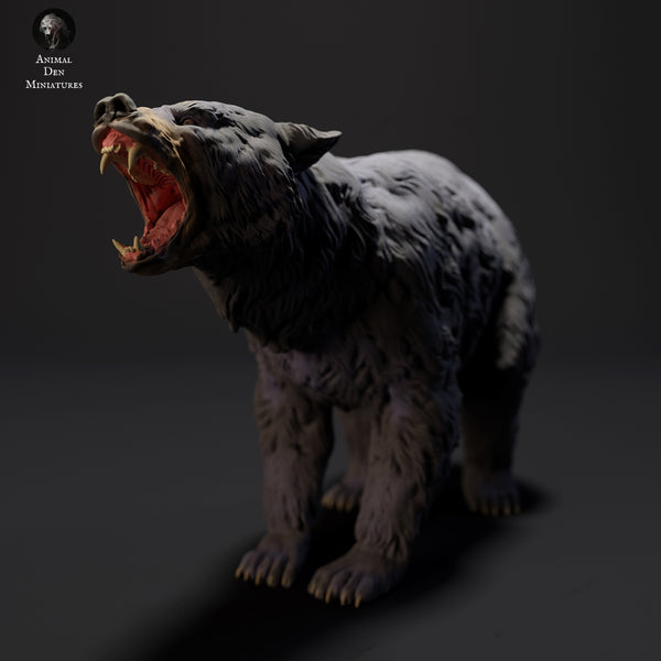 Anml-230902 black bear angry