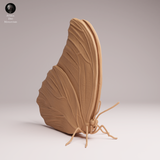 Anml-251102 Blue Morpho Butterfly-closed wings（モルフォチョウ）