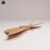 Anml-251101 Blue Morpho Butterfly（モルフォチョウ）