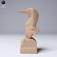 Anml-240802 blue footed booby bust (アオアシカツオドリ)