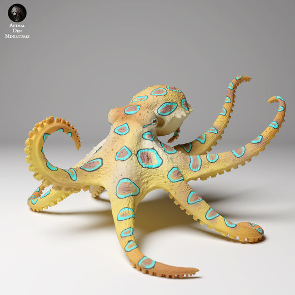 Anml-240503 Greater blue ringed octopus swim