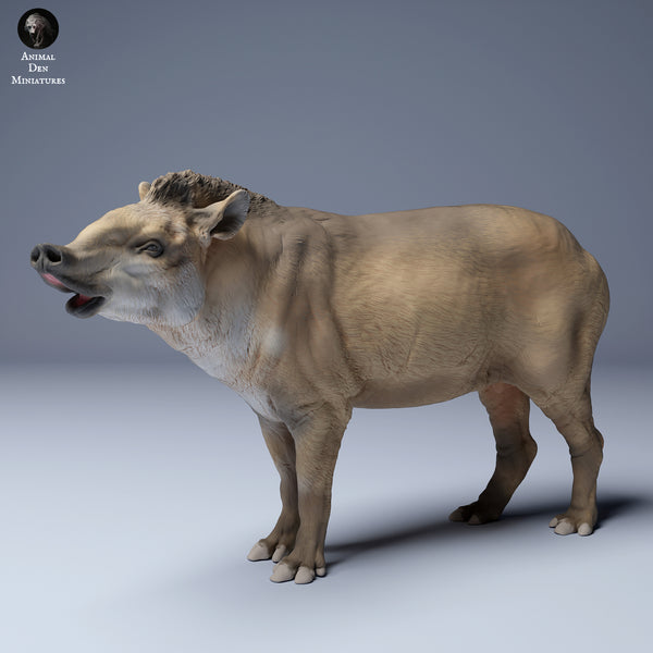 Anml-240401 brazilian tapir