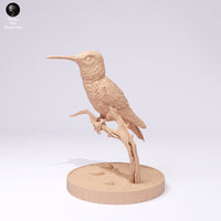 Anml-250104 Broad tailed hummingbird stand（フトオハチドリ）