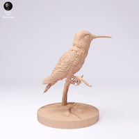 Anml-250104 Broad tailed hummingbird stand（フトオハチドリ）