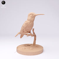 Anml-250104 Broad tailed hummingbird stand（フトオハチドリ）