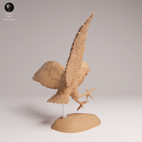 Anml-250905 burrowing owl fly(アナホリフクロウ)