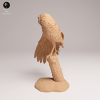 Anml-250906 burrowing owl stretch(アナホリフクロウ)