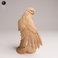 Anml-250906 burrowing owl stretch(アナホリフクロウ)