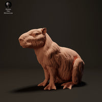 Anml-230603 capybara sit