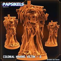 Pap-231107 colonial marine victim d