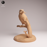 Anml-260604 Common Kingfisher（カワセミ）