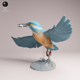 Anml-260605 Common Kingfisher Fly（カワセミ）