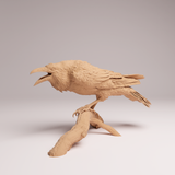 Anml-260606 Common Raven（カラス）
