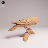 Anml-260606 Common Raven（カラス）