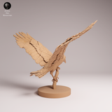 Anml-260608 Common Raven landing（カラス）