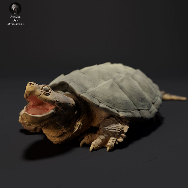 Anml-230906 common snapping turtle aggressive