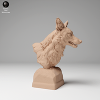 Anml-241102 Coyote bust