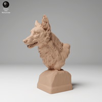 Anml-241102 Coyote bust