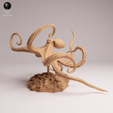 Anml-251003 Day octopus swim