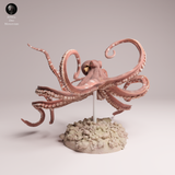 Anml-251003 Day octopus swim