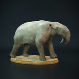 DinD-220707 deinotherium