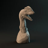 DinD-230104 dilophosaurus bust